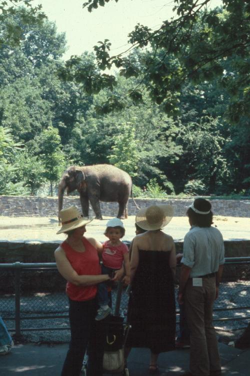 click for larger size