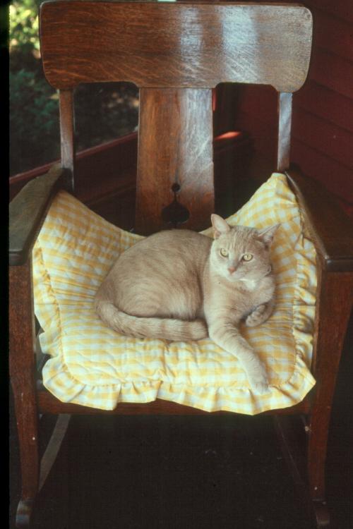 click for larger size