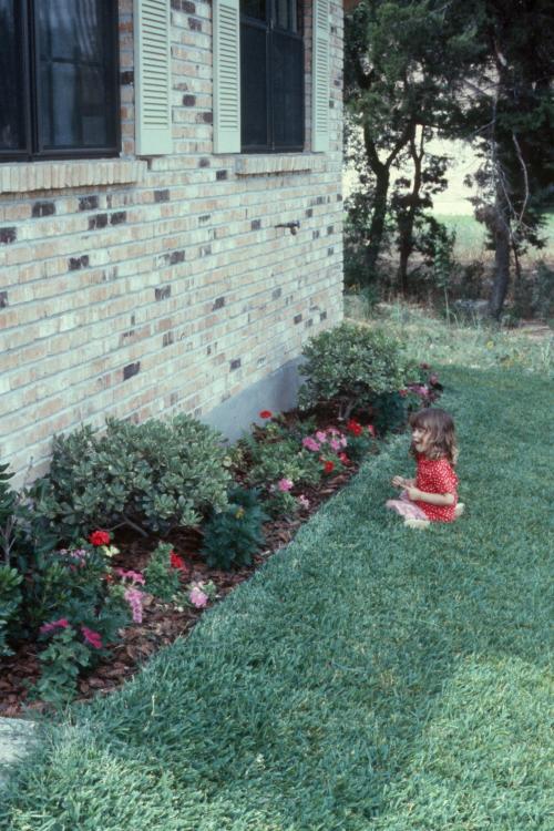 click for larger size