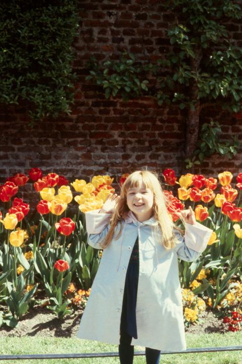 click for larger size