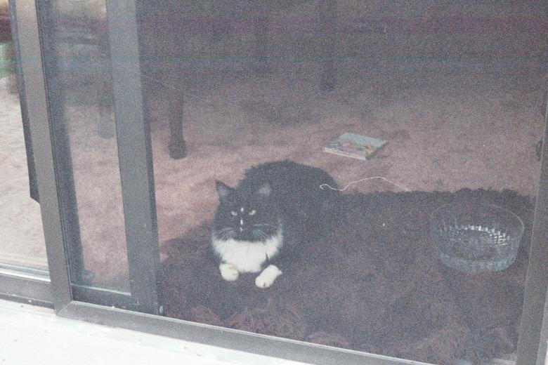 click for larger size