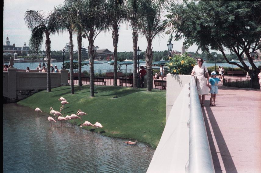 click for larger size