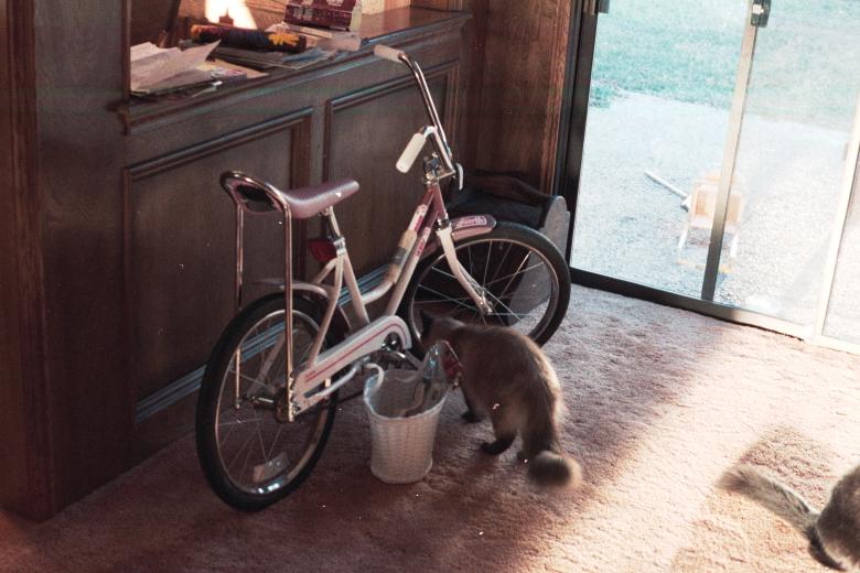 click for larger size