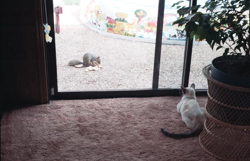 click for larger size