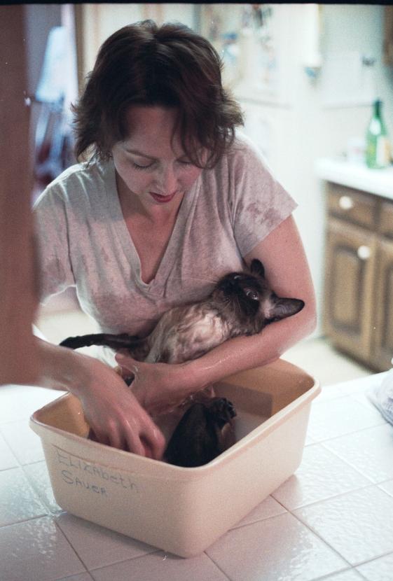 click for larger size