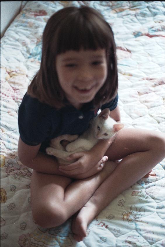 click for larger size