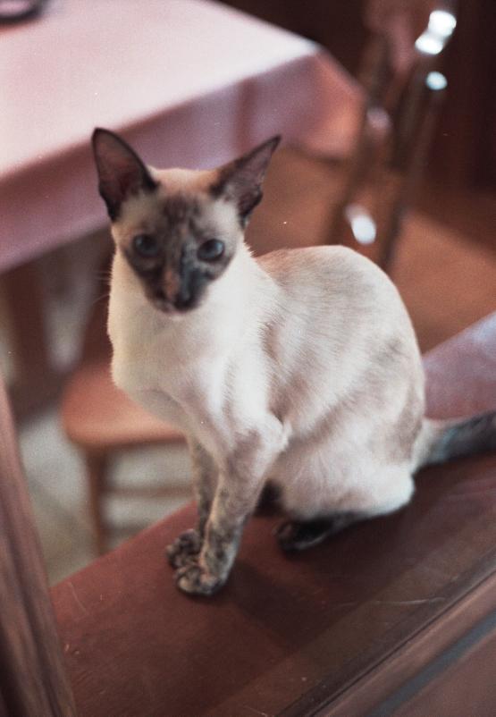 click for larger size