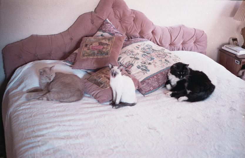 click for larger size