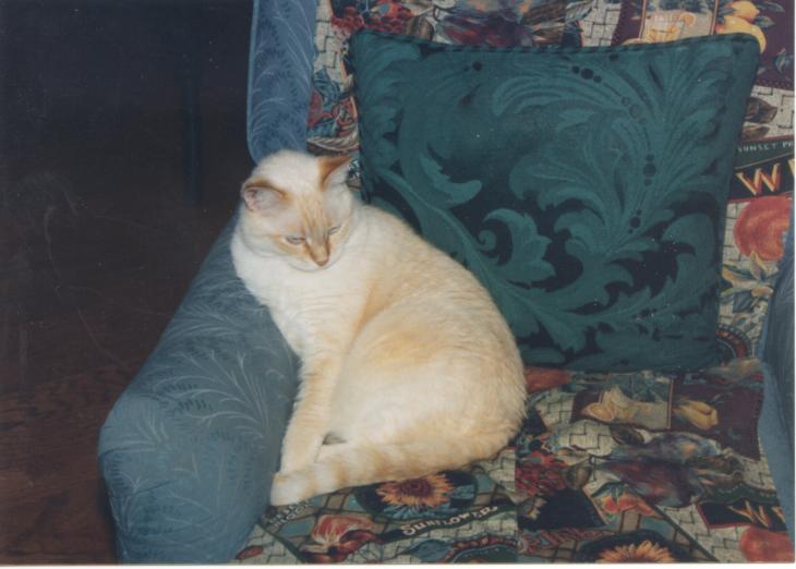 click for larger size