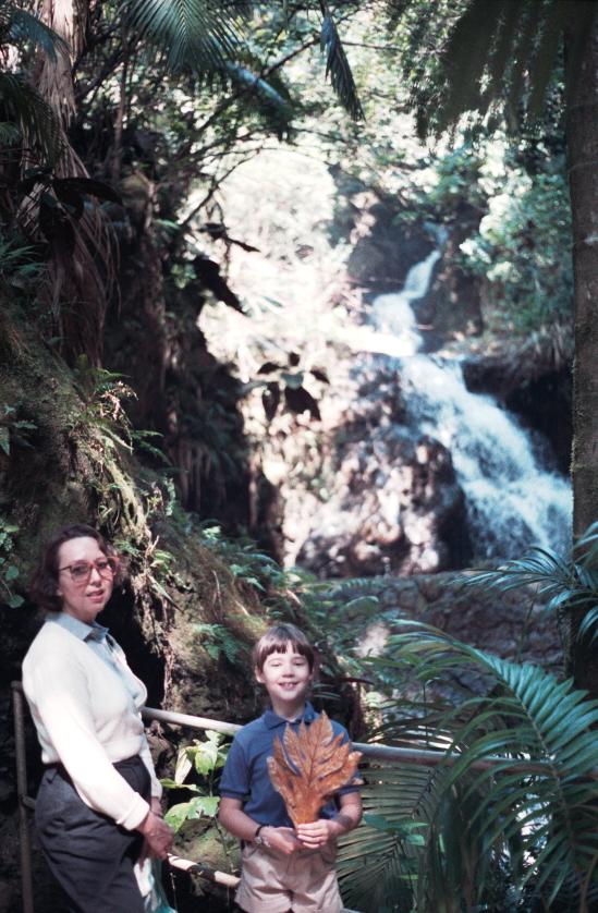 click for larger size