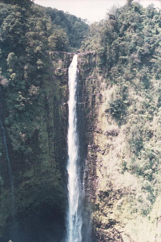 click for larger size