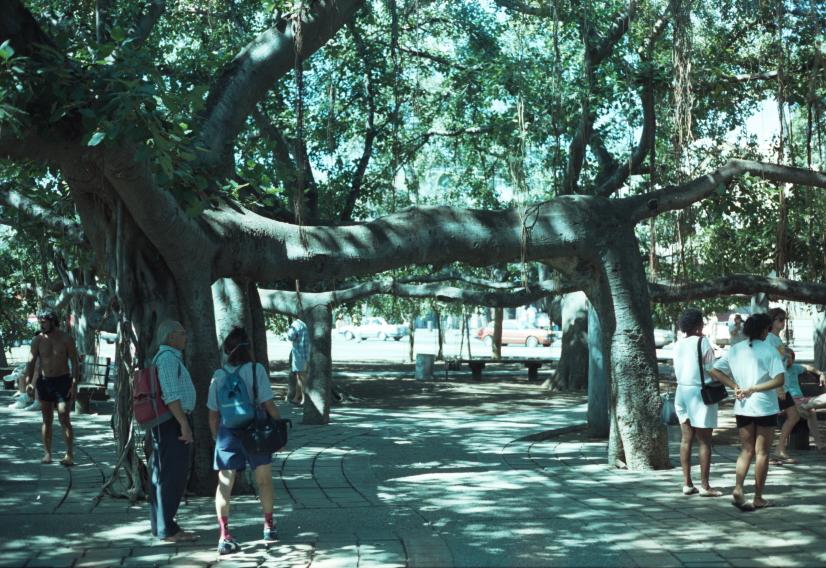 click for larger size