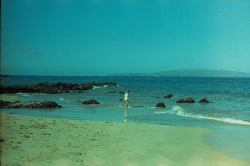 click for larger size