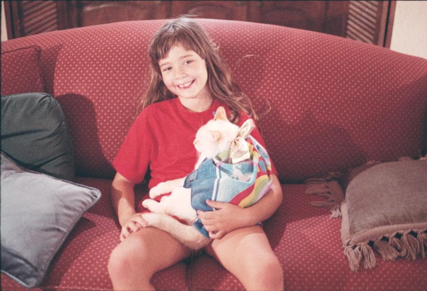 click for larger size