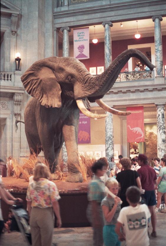 click for larger size