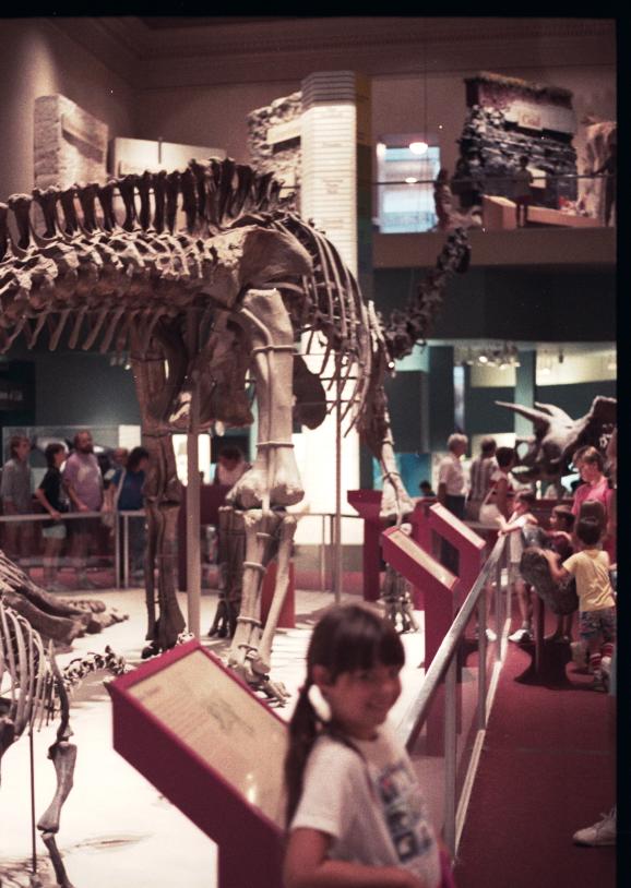 click for larger size