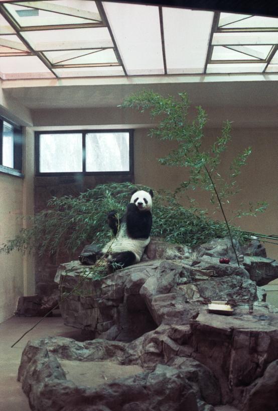 click for larger size