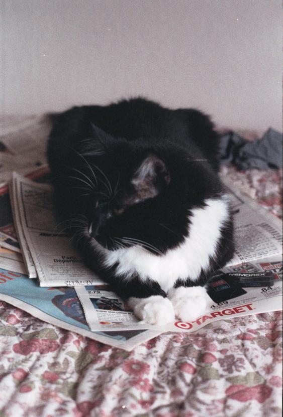 click for larger size