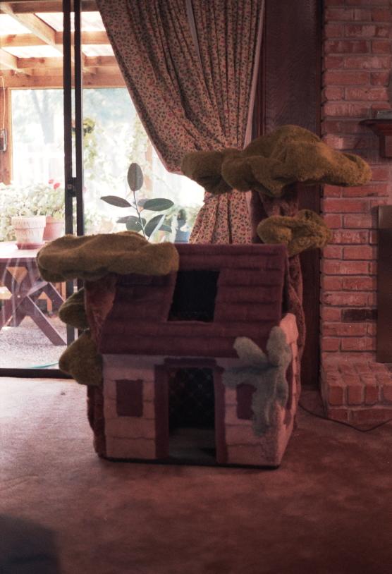 click for larger size