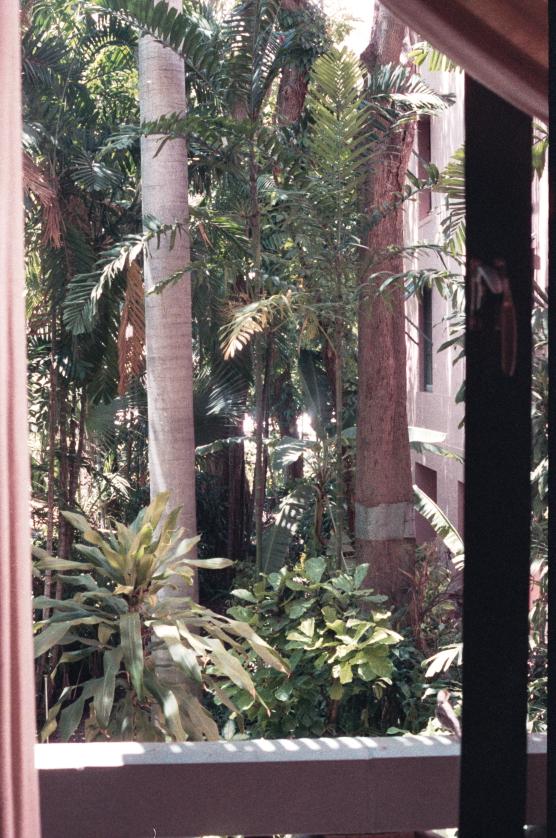 click for larger size