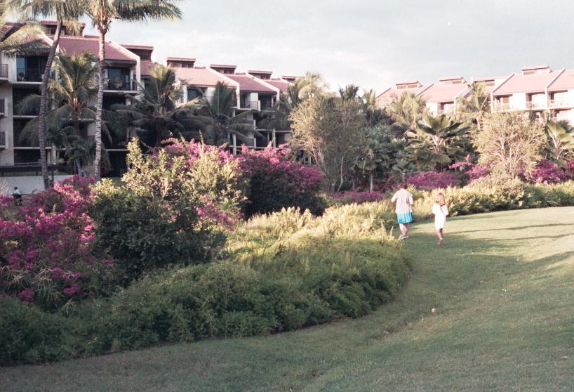 click for larger size