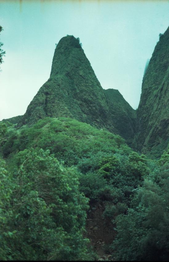 click for larger size