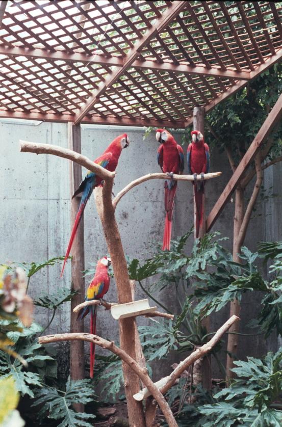 click for larger size