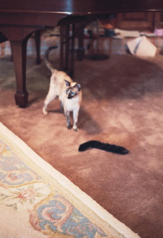 click for larger size