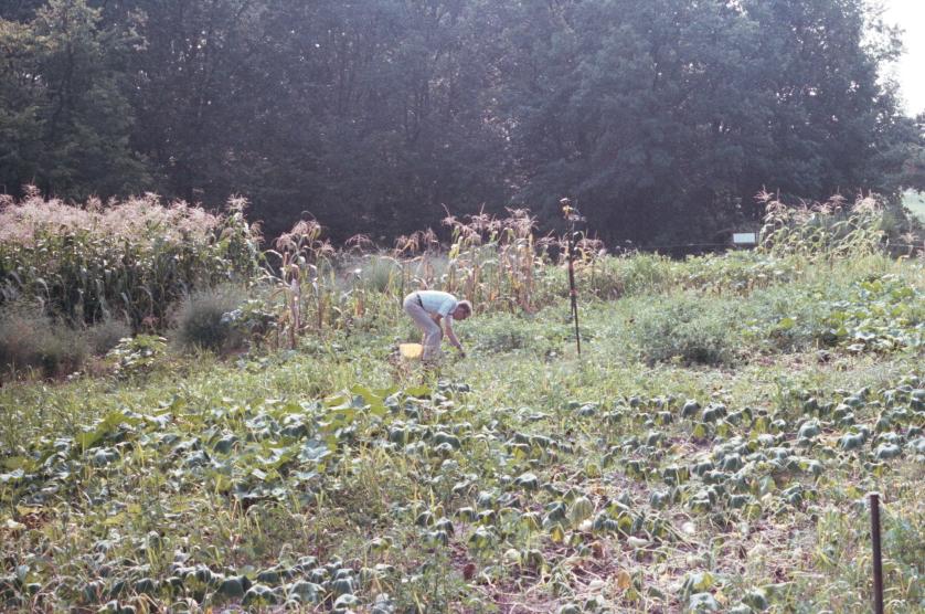 click for larger size