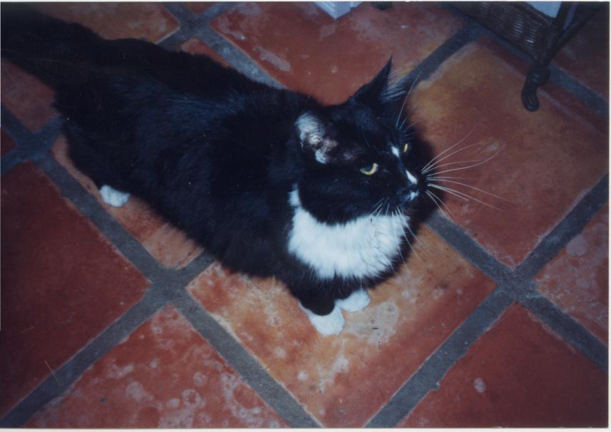 click for larger size