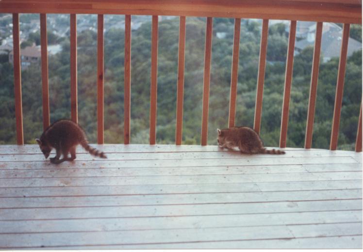 click for larger size