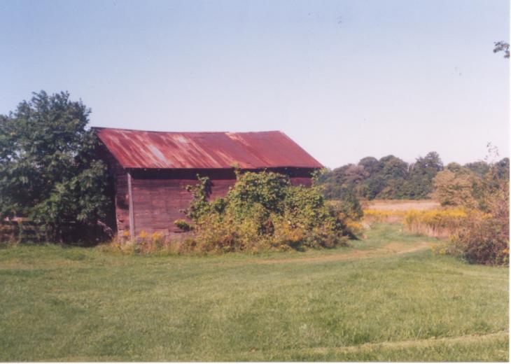 click for larger size