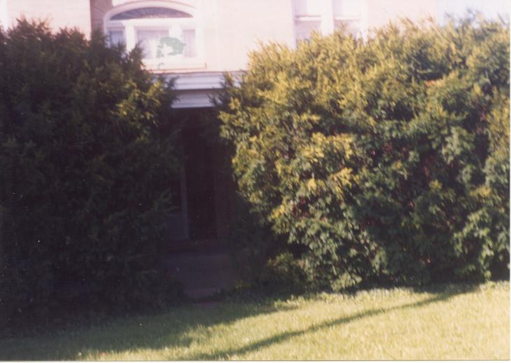 click for larger size