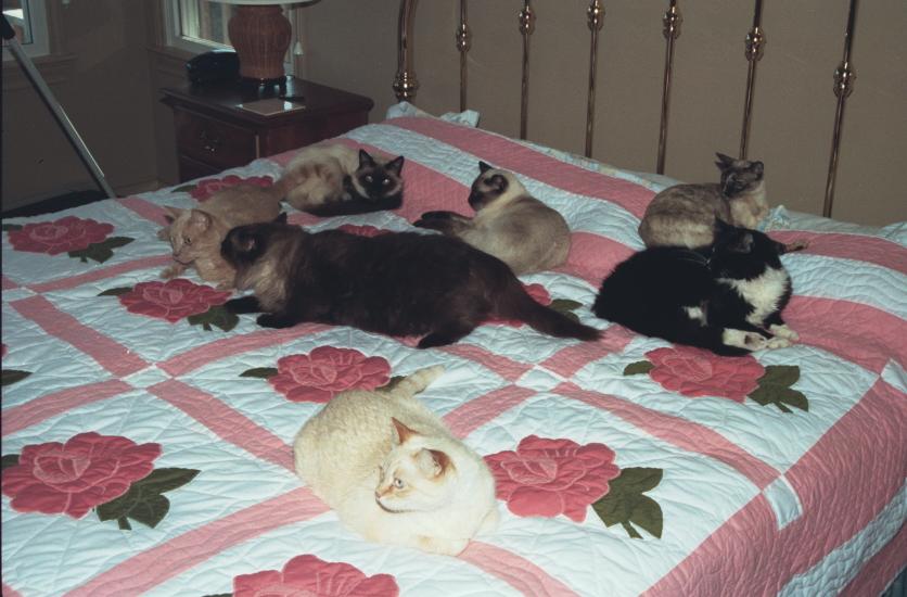 click for larger size