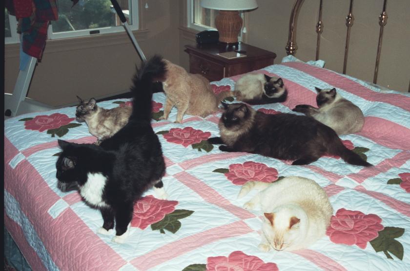 click for larger size