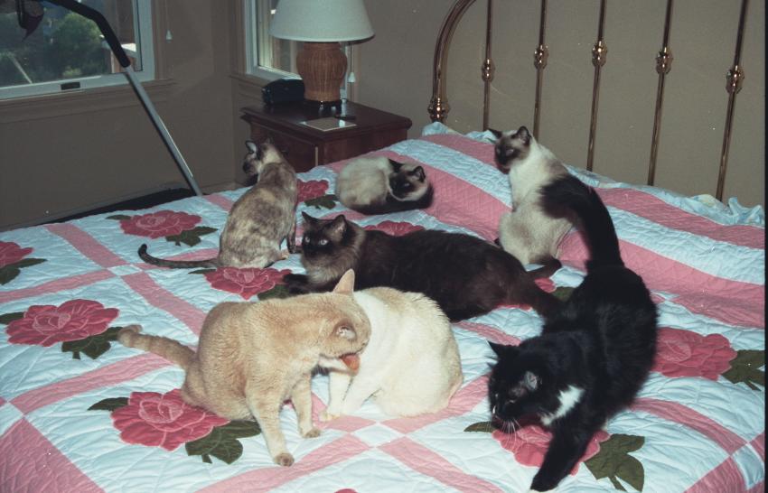 click for larger size