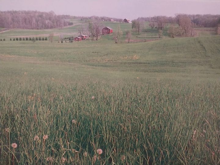 click for larger size