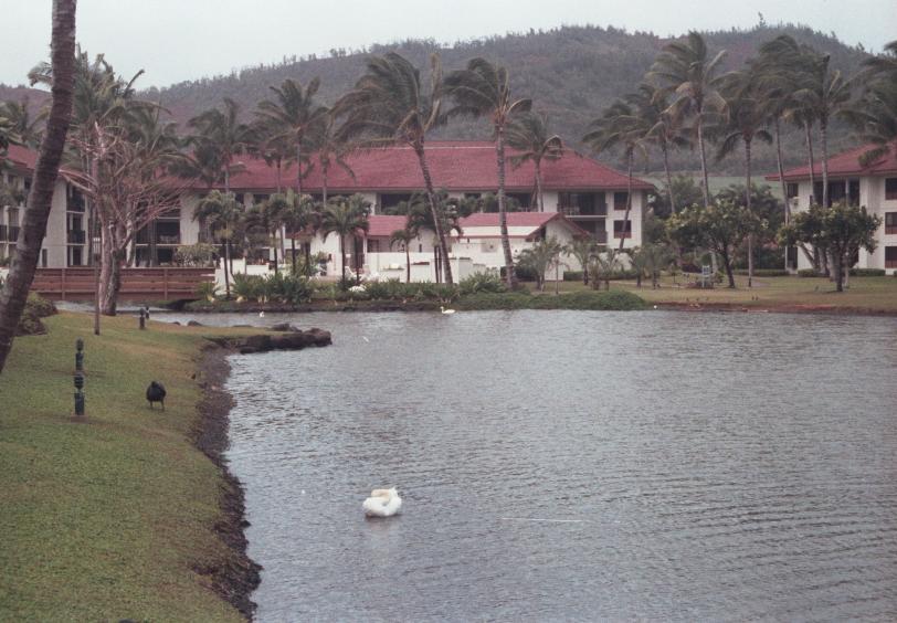 click for larger size