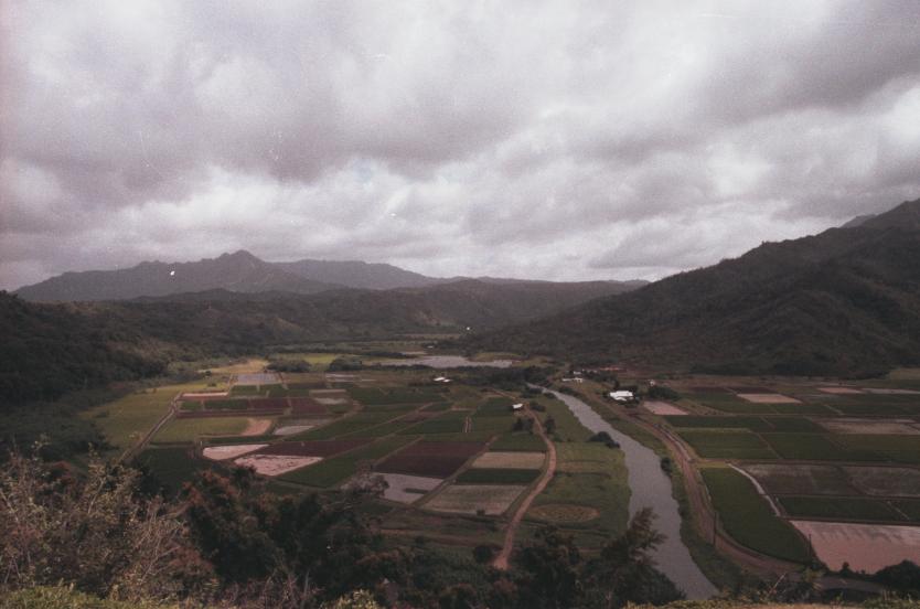 click for larger size