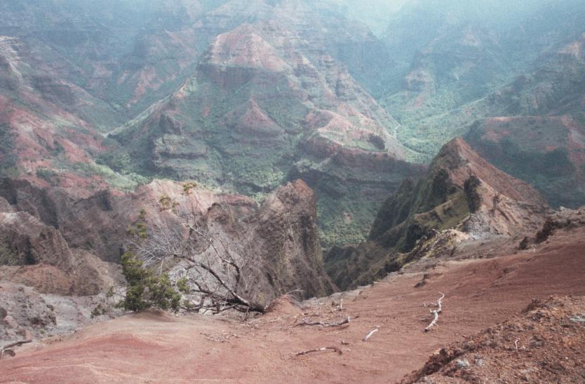 click for larger size