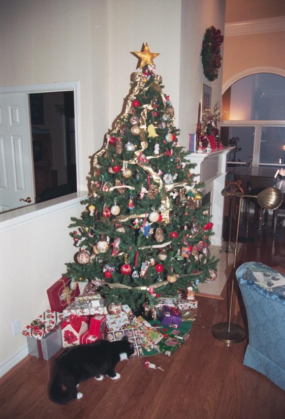 click for larger size