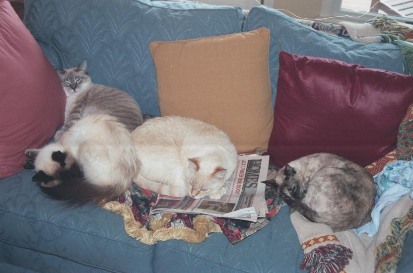 click for larger size