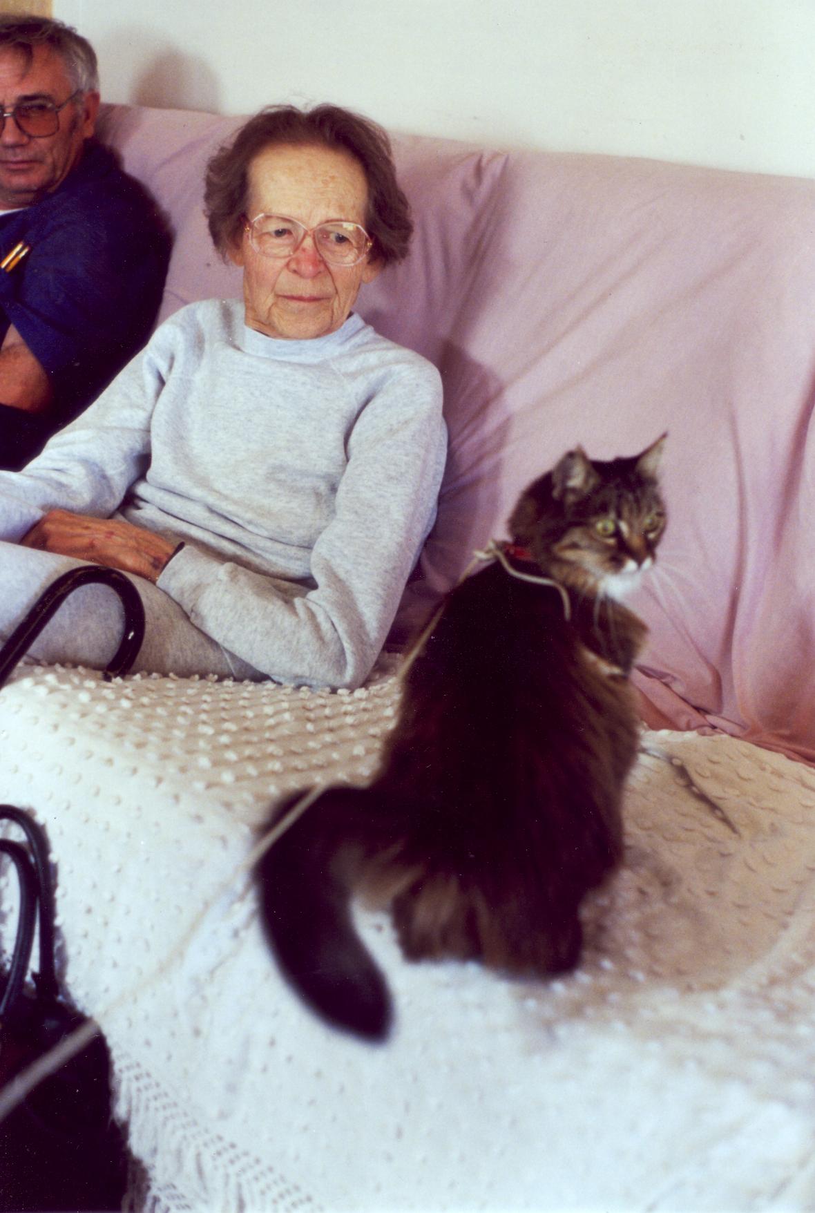 click for larger size