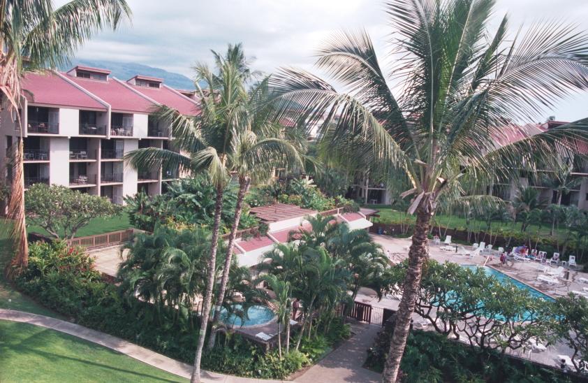 click for larger size