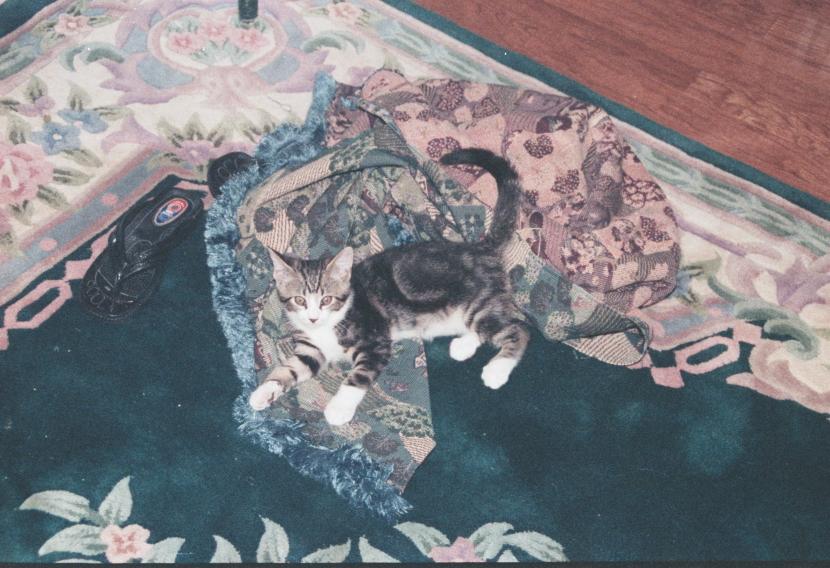 click for larger size