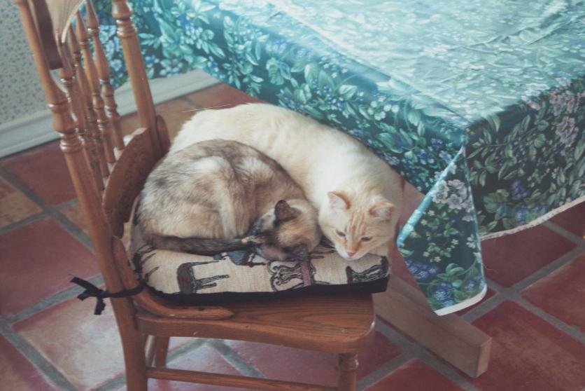 click for larger size