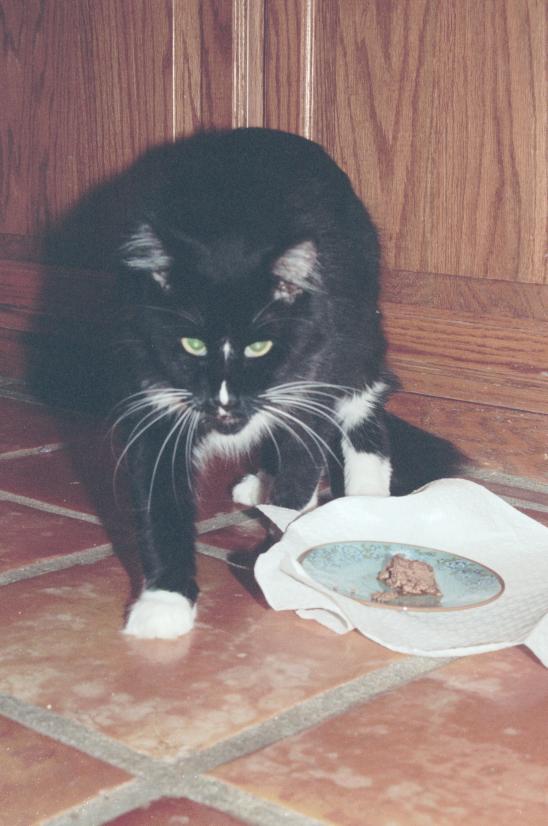 click for larger size