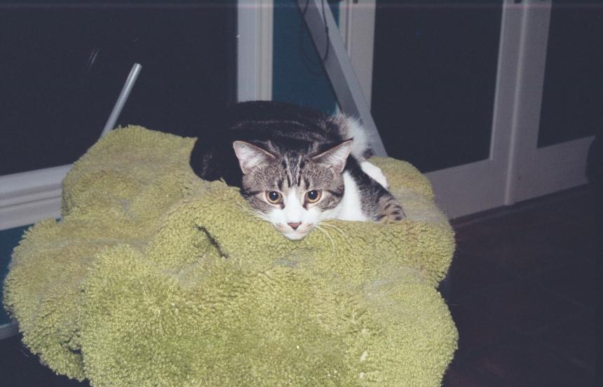 click for larger size