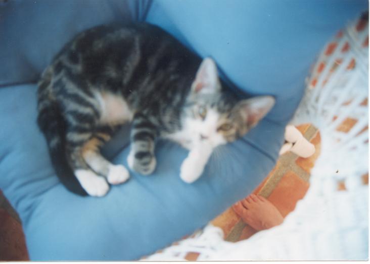 click for larger size