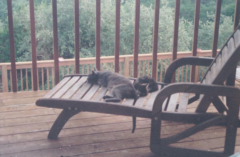 click for larger size